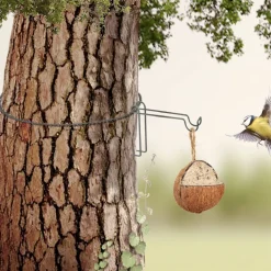 Crochet d'arbre pour nourriture oiseaux