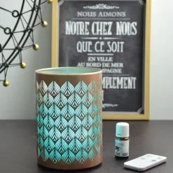 Diffuseur d'huiles essentielles ultrasonique Vienne