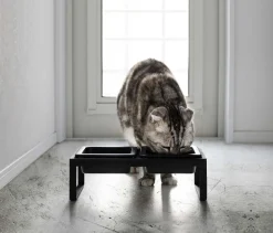 Double gamelle design surélevée pour chat Tower (Noir)