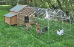 Enclos extérieur zingué avec bâche