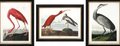 Ensemble de 3 cadres Oiseaux