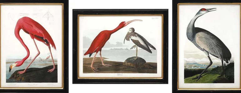 Ensemble de 3 cadres Oiseaux
