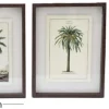 Ensemble de 3 cadres 30 x 40 cm Palmiers