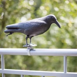 Epouvantail corbeau pour éloigner les pigeons