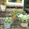 Etagère à plantes en métal patiné Arabesque