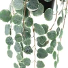 Eucalyptus retombant artificiel en pot 40 cm