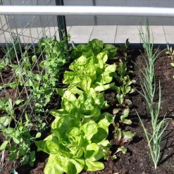 Extension de potager GrowCamp 50cm 650 Litres