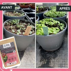 Fertilisant plantes et fleurs à base de mycorhizes 500 gr