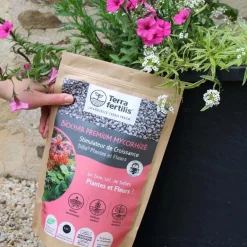 Fertilisant plantes et fleurs à base de mycorhizes 500 gr