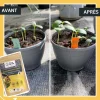 Fertilisant potager à base de mycorhizes 500 gr