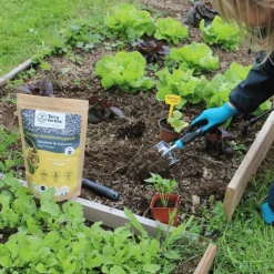 Fertilisant potager à base de mycorhizes 500 gr