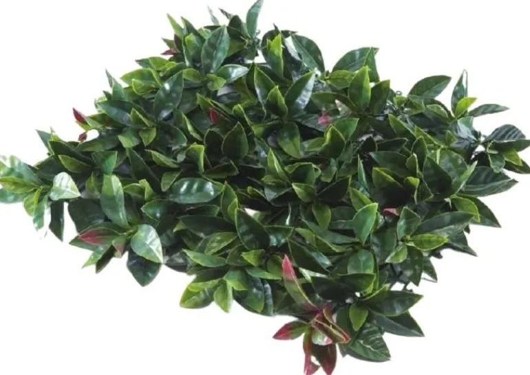 Feuillage artificiel 1 m x 1 m (Photinia)