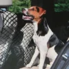 Filet de voiture pour chien