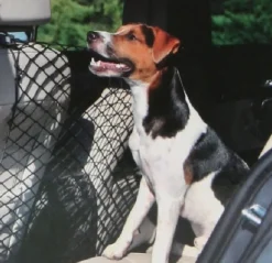 Filet de voiture pour chien