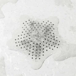Filtre à cheveux pour bonde (Blanc)