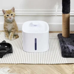 Fontaine à eau pour chat