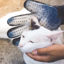 Gant magique anti-poils animaux (Bleu)