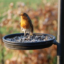 Grande station d'alimentation pour oiseaux