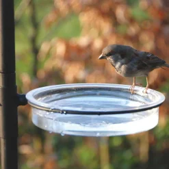 Grande station d'alimentation pour oiseaux
