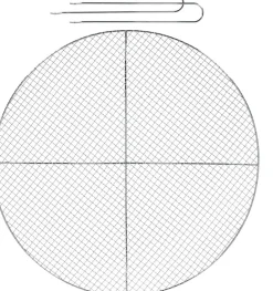 Grille BBQ pour brasero en fer galvanisé 60 cm