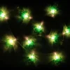 Guirlande lumineuse cactus 10 LED 165 cm