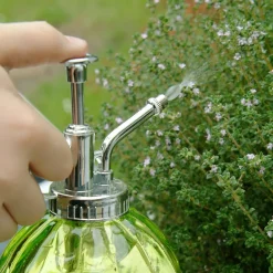 Humidificateur pour plantes en verre (Transparent)