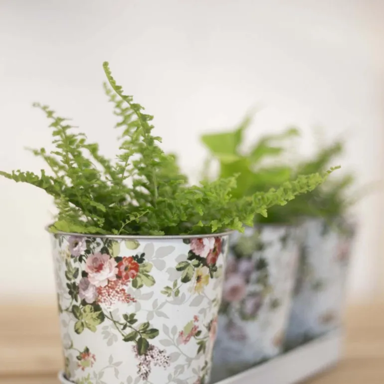 Jardinière 3 pots Roses