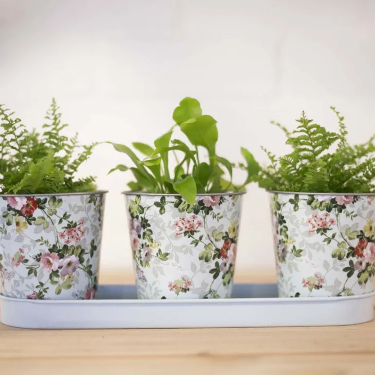 Jardinière 3 pots Roses