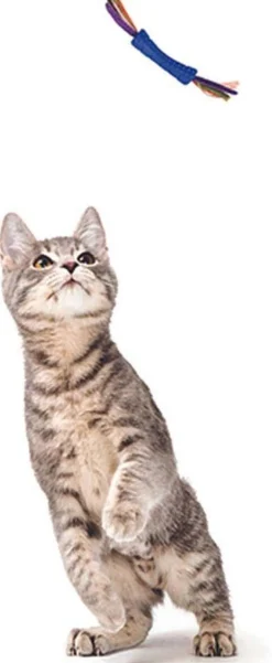 Jouet chat Stick coloré plume double