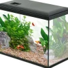Kit aquarium 24 litres Initio 40 (Noir)