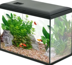 Kit aquarium 24 litres Initio 40 (Noir)