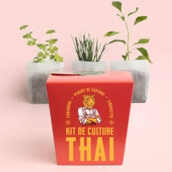 Kit de culture complet Take and plant (Thai)