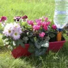 Kit goutteurs pour jardinière arrosage régulier