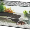 Kit terrarium tortue aquatique Karapas Pro (Noir)