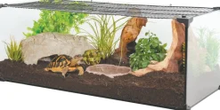 Kit terrarium tortue terrestre Karapas Pro