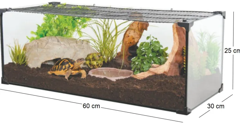 Kit terrarium tortue terrestre Karapas Pro