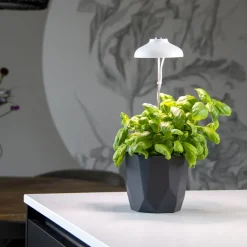 Lampe de croissance pour plantes ampoule led