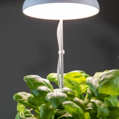 Lampe de croissance pour plantes ampoule led
