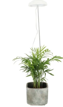 Lampe de croissance pour plantes ampoule led