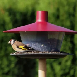Mangeoire à oiseaux en plastique Cap (Fuschia)