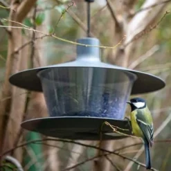Mangeoire à oiseaux en plastique Cap (Noir)