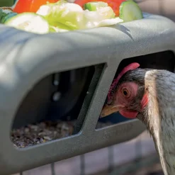 Mangeoire poules en plastique recyclé