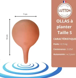 Mini ollas à planter en argile (Blanc)