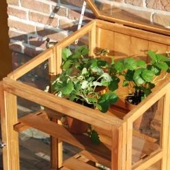 Mini serre de jardin en bois dur (118,5 cm)