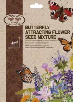 Mélange graines de fleurs attractives pour insectes (Papillons)
