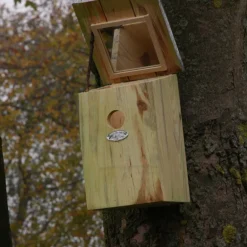 Nichoir mésange bois et zinc