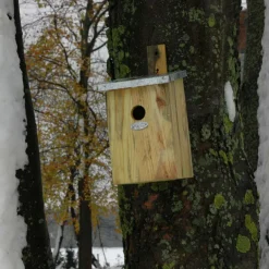 Nichoir mésange bois et zinc
