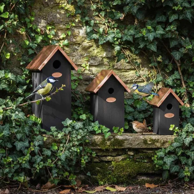 Nichoir à oiseaux en pin et cuivre (Mésange bleue)