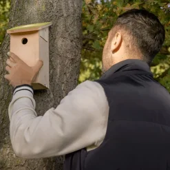 Nichoir pour mésange bleue en pin pochoir