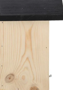 Nichoir troglodyque en pin